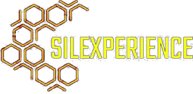 Silexperience